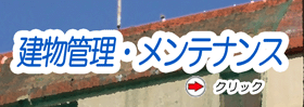 ǗEeiX